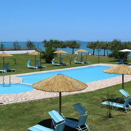 Corfu Sea Palm - Cfu02015-dya Roda (Corfu)