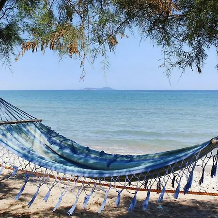 Corfu Sea Palm - Cfu02015-dya