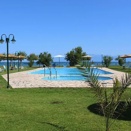 Corfu Sea Palm - Cfu02015-dya *